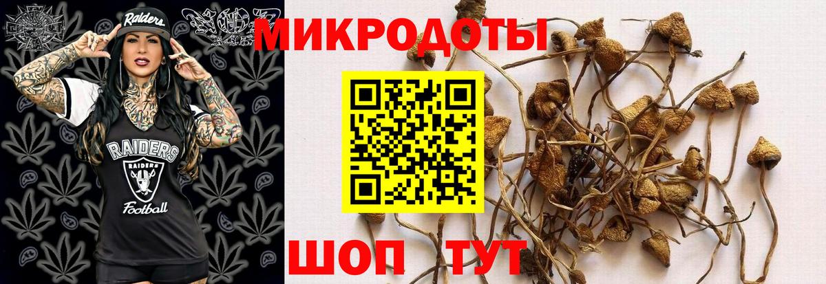 Галлюциногенные грибы Psilocybine cubensis  Вход с VPN  Сертолово 