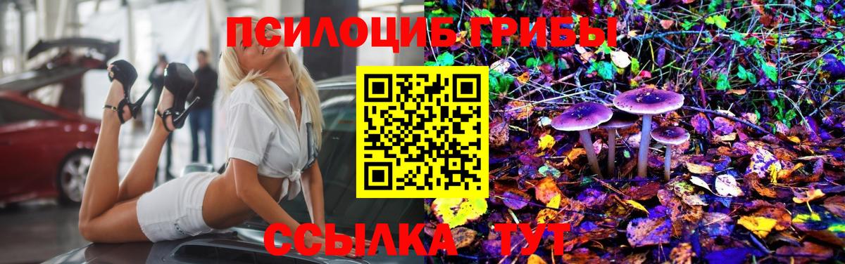 Псилоцибиновые грибы ЛСД Сертолово